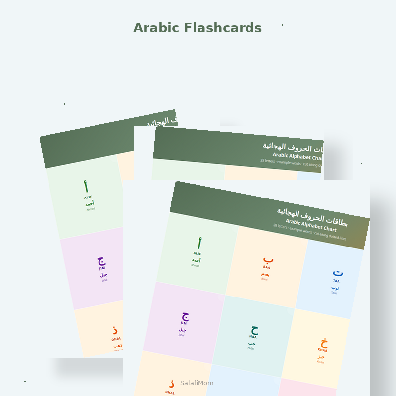 Arabic Alphabet Flashcards